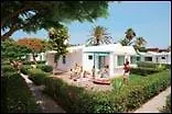 Bungalows Beach Flor 3*